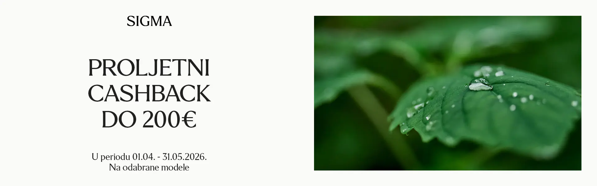 Sigma Spring cashback