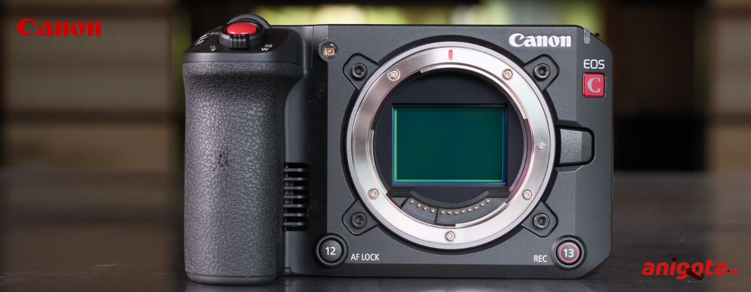 Canon Digitalna videokamera EOS C50