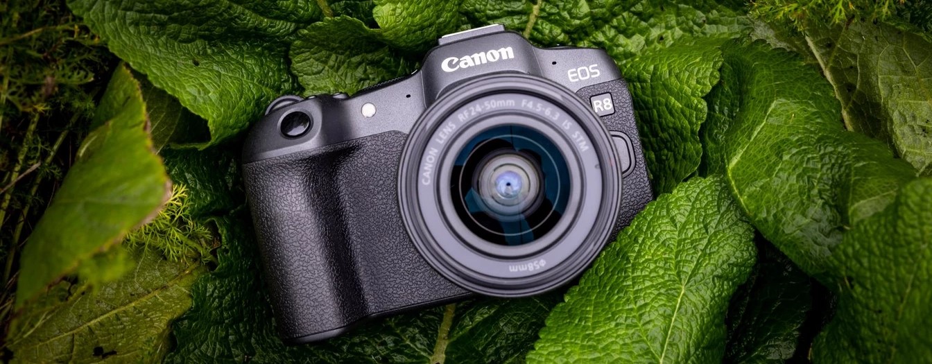 Kako su se četiri profesionalna fotografa i kreatora sadržaja razvila uz sustav EOS R