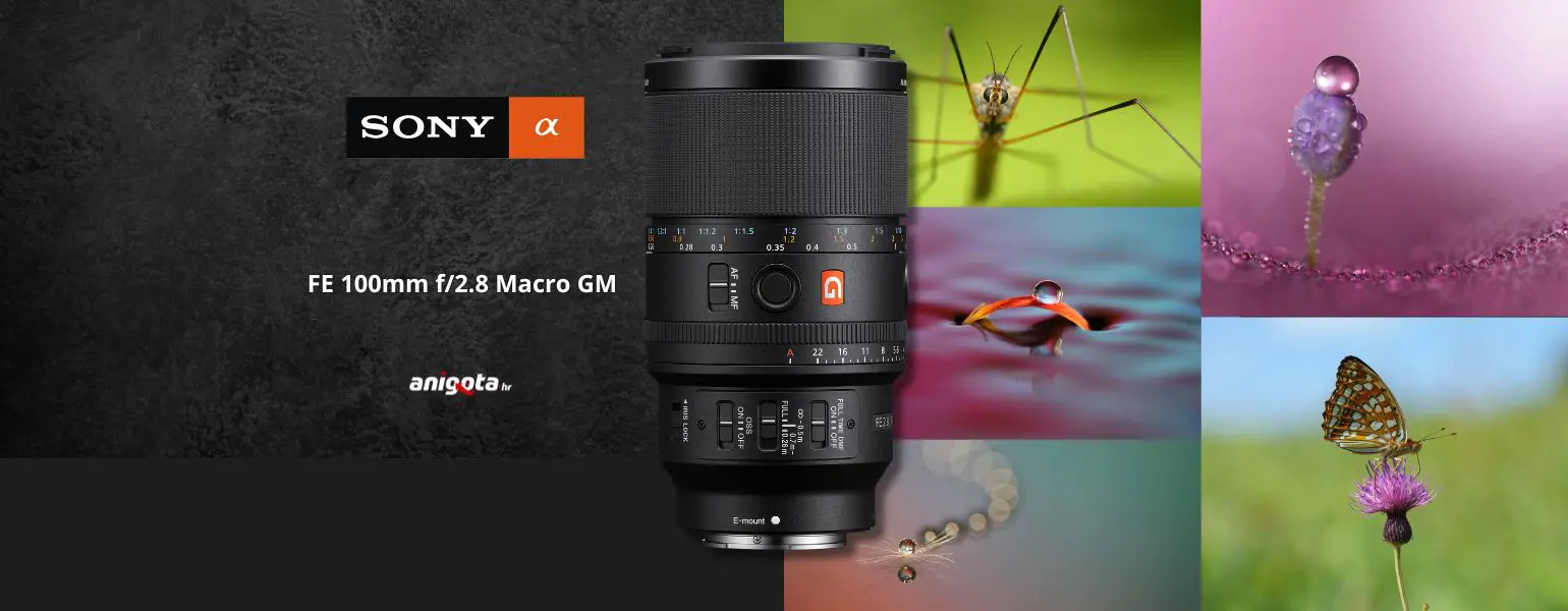 Sony FE 100mm f/2.8 Macro GM OSS