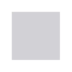 LEE Filters 100mm x 100mm 0.3ND (B100ND3)