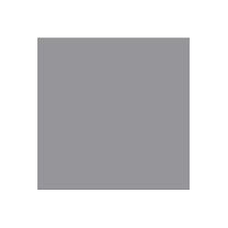 LEE Filters 100mm x 100mm 0.6ND (B100ND6)