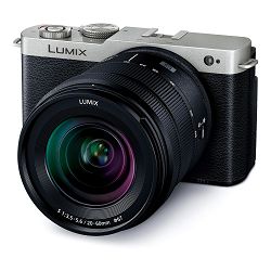 Panasonic Digitalni fotoaparat LUMIX S9 + S 20-60mm f/3.5-5.6 (Black/Silver) 